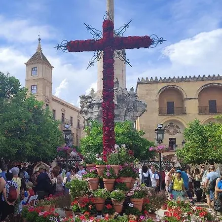 Apartamento Encanto. Céntrico Tríplex Cerca De La Corredera Y Casco Antiguo. *