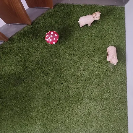 شقة Encanto. Centrico Triplex Cerca De La Corredera Y Casco Antiguo. *